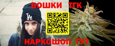 тгк Обь