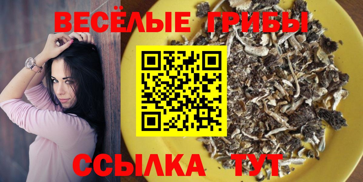 Галлюциногенные грибы прущие грибы Рассказово